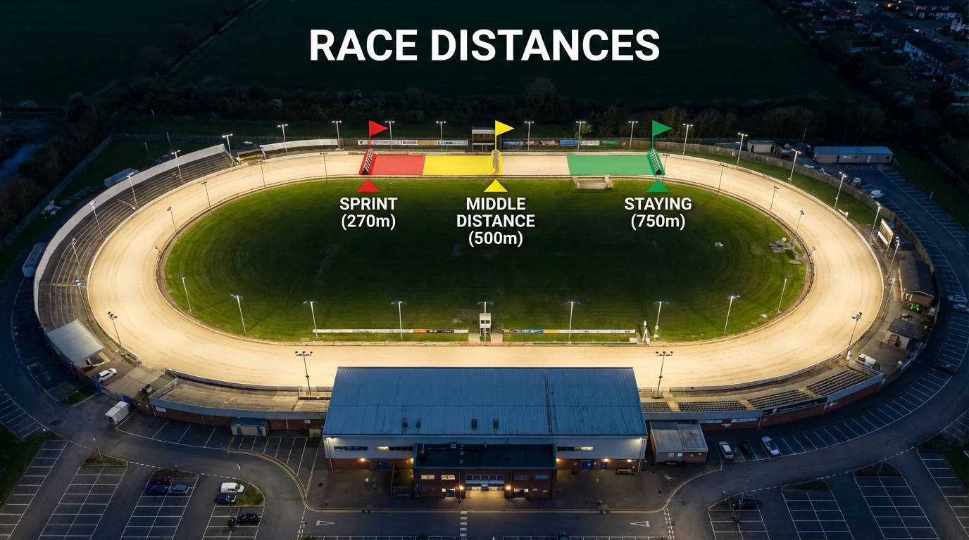 Greyhound track layout showing sprint, standard and staying distance start positions