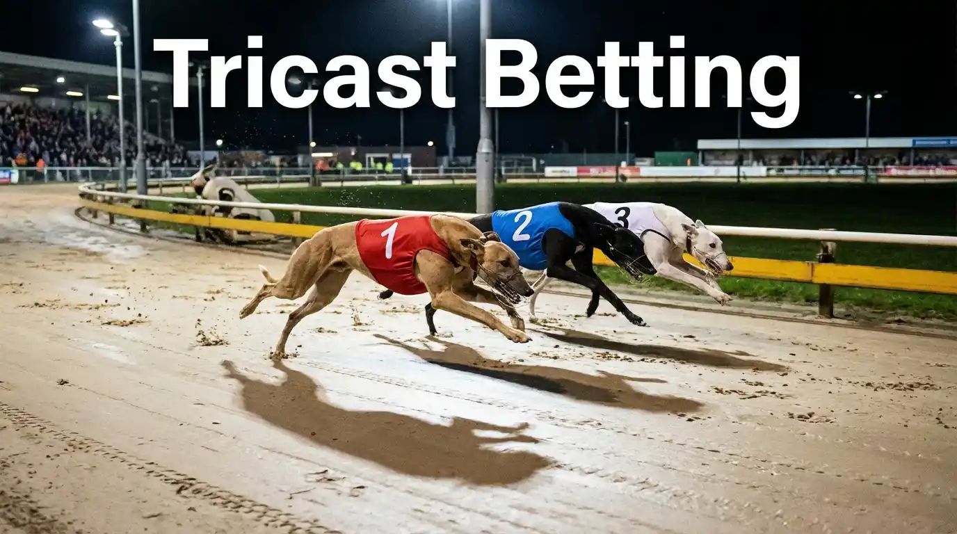 Greyhound tricast bet example showing first second and third place selections